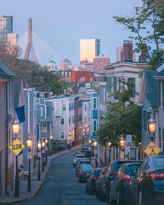 VIEW AT BOSTON FROM PLEASANT STREET